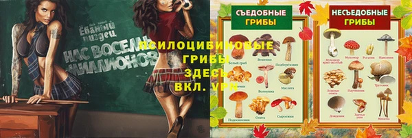 мяу мяу мука Верхнеуральск