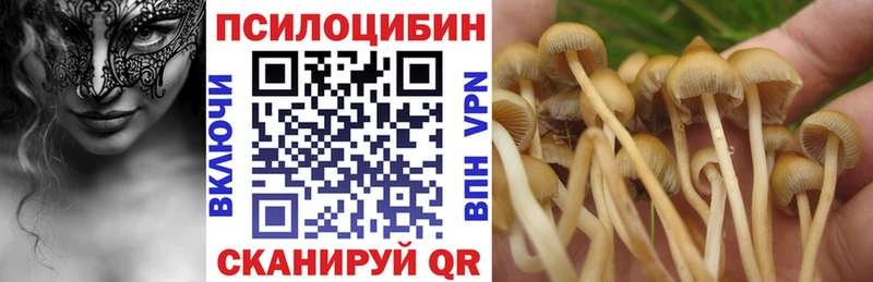 OMG как войти  цена наркотик  Грозный  Галлюциногенные грибы мухоморы 