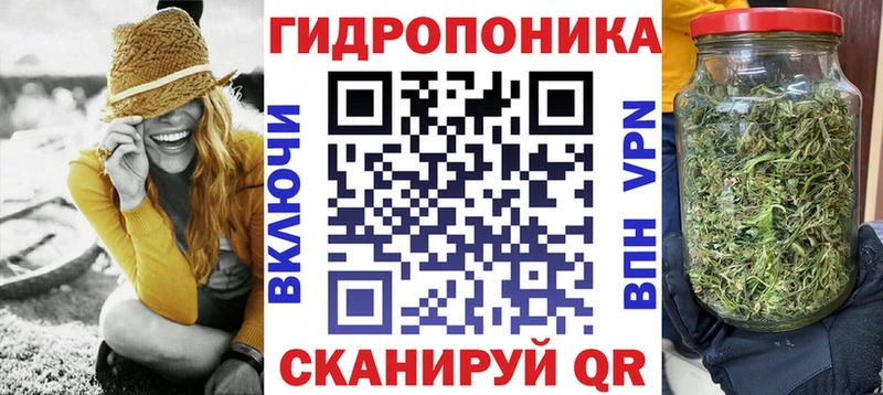 Бошки Шишки Amnesia  где найти   Грозный 